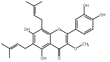 楮树黄酮醇B