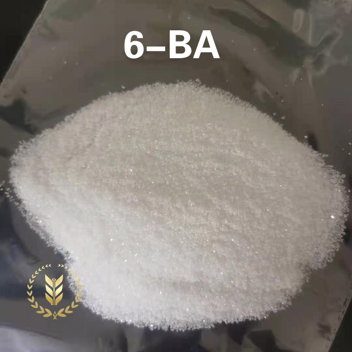 6-苄氨基嘌呤 6-BA