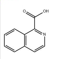 异喹啉羧酸