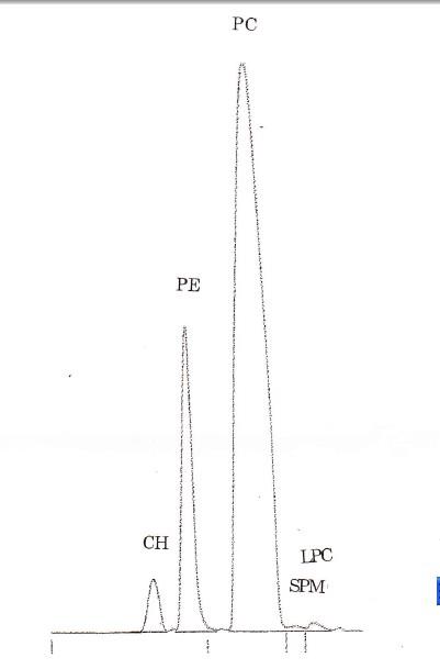 93685-90-6蛋黄卵磷脂PL-100M哪家好-艾伟拓供