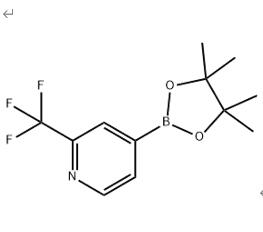 2-三氟甲基吡啶-4-硼酸频哪醇酯