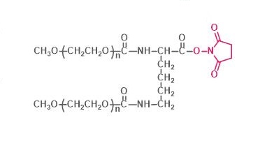 两臂聚乙二醇琥珀酰亚胺羧酸酯,2-arm PEG-NHS