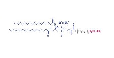 α-氨基-ω-1，2-二硬脂酸-3-磷脂酰乙醇胺聚乙二醇,DSPE-PEG-NH2