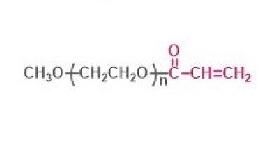 甲氧基聚乙二醇丙烯酸酯