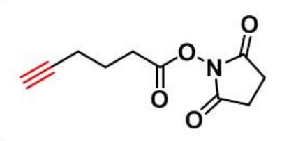 Alkyne NHS ester,CAS:906564-59-8,炔烃-活性酯