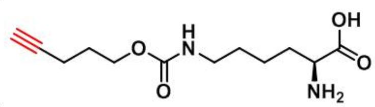 Nε-pent-4-ynyloxy-carbonyl-L-Lysine