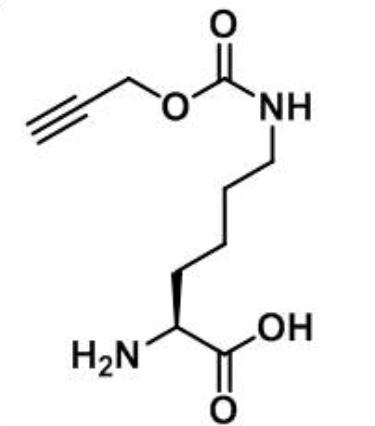 (2S)-2-amino-6-{[(prop-2-yn-1-yloxy)carbonyl]amino}hexanoic acid