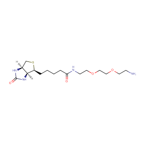 N-生物素-3,6-二氧辛烷-1,8-二胺