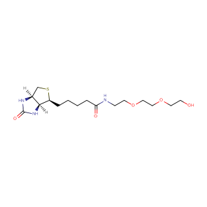 生物素-三聚乙二醇