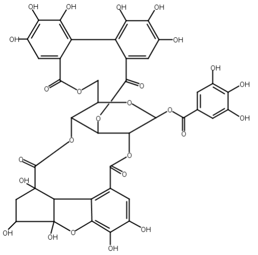 叶下珠鞣质C