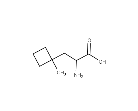 2-amino-3-(1-methylcyclobutyl)propanoic acid