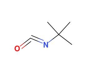 叔丁基异氰酸酯