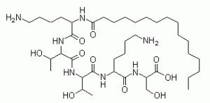 Palmitoyl Pentapeptide-4.gif