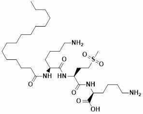 Palmitoyl Tripeptide-38.jpg
