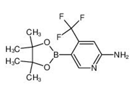 2-氨基-4-三氟甲基-5-吡啶硼酸哪醇酯