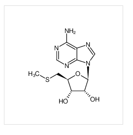 5-脱氧-5-甲硫腺苷