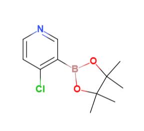 4-氯吡啶-3-硼酸频哪酯