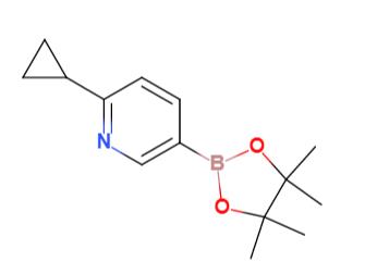 6-环丙基吡啶-3-硼酸频那醇酯