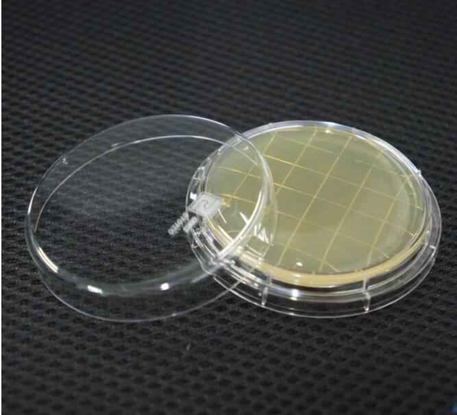 Nutrition Agar