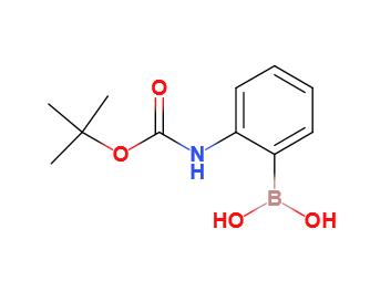 2-BOC-氨基苯基硼酸