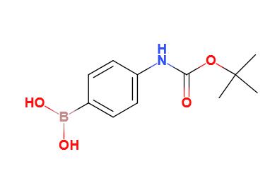 4-(N-Boc-氨基)苯硼酸