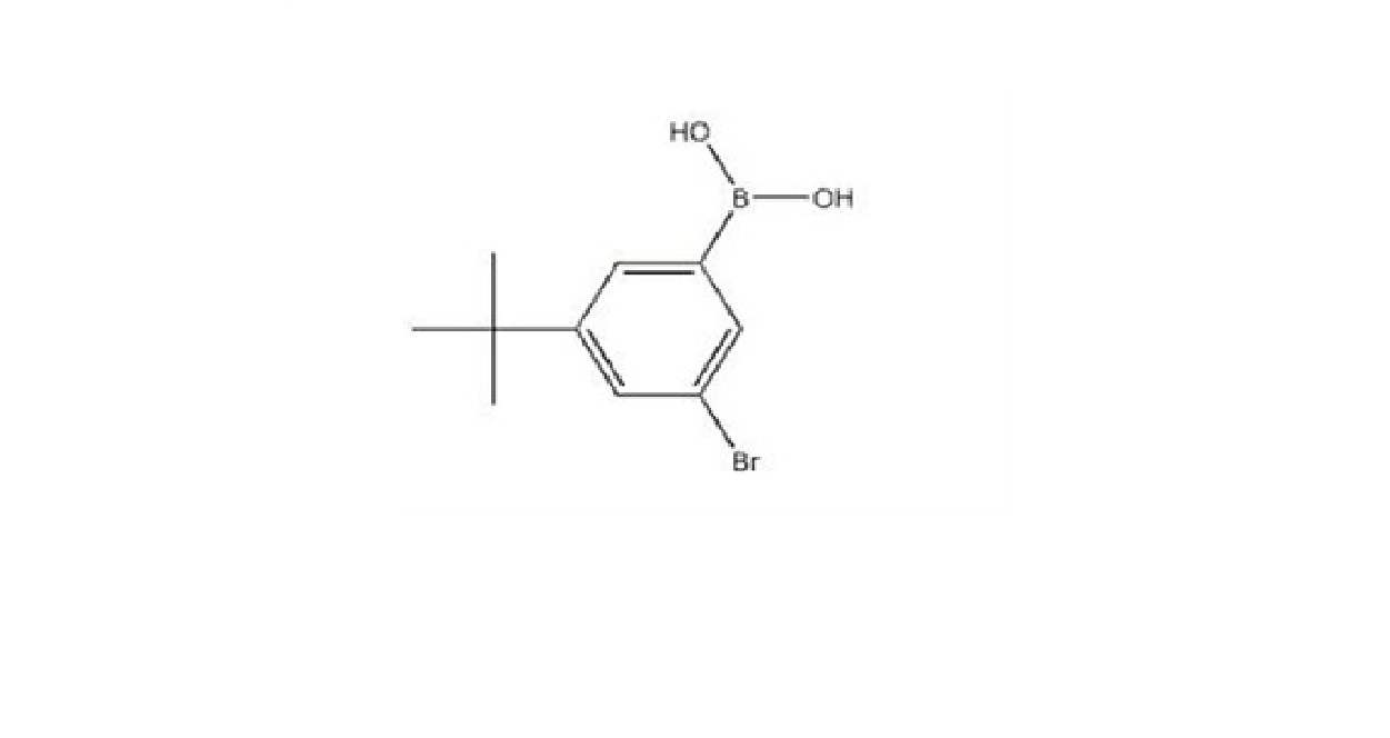 3-溴-5-叔丁基苯硼酸