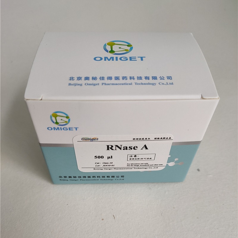 RNase A (核糖核酸酶A)