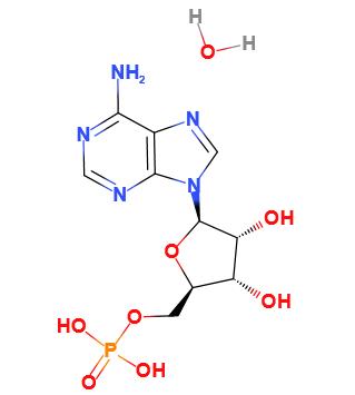 腺苷-5'-磷酸