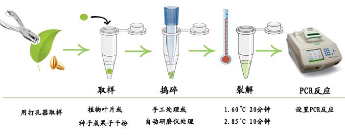 滴虫（毛滴虫）通用探针法荧光定量PCR试剂盒