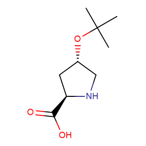 L-4-羟脯氨酸叔丁酯