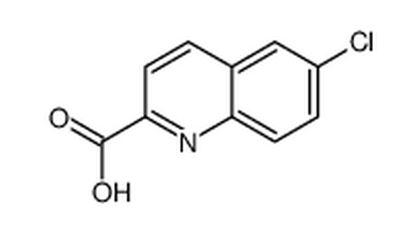 6-氯-2-喹啉羧酸