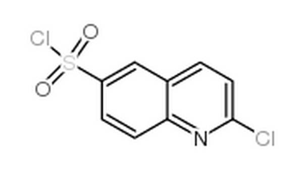 2-氯喹啉-6-磺酰氯