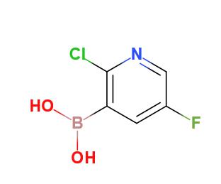 2-氯-5-氟吡啶-3-硼酸