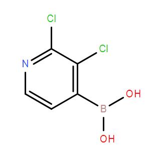 2,3-二氯吡啶-4-硼酸