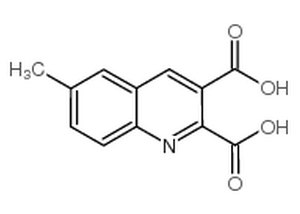 6-甲基喹啉-2,3-二羧酸