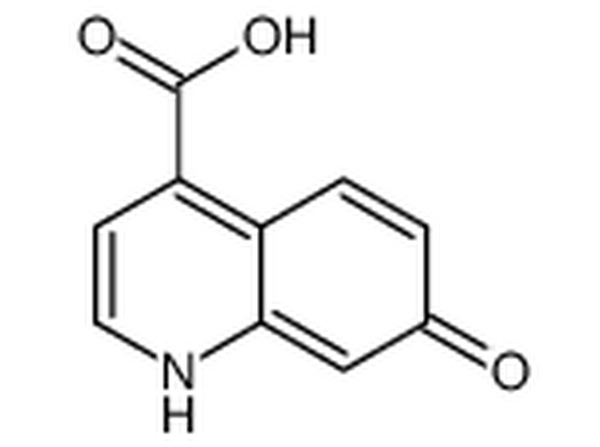 7-羟基-4-喹啉羧酸