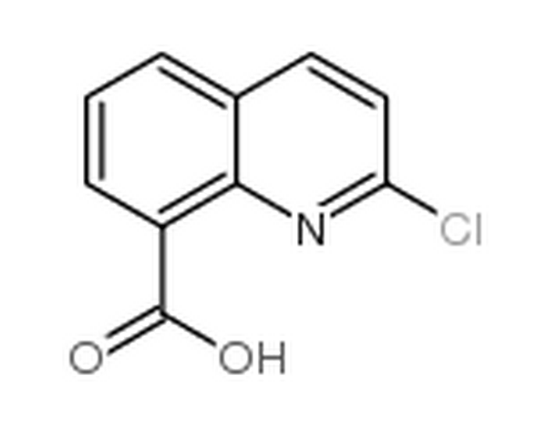 2-氯-8-喹啉甲酸