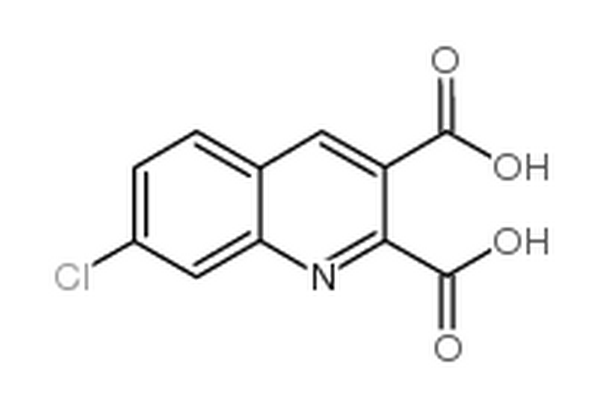 7-氯喹啉-2,3-二羧酸