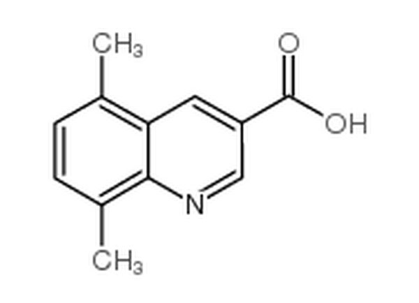 5,8-二甲基喹啉-3-羧酸