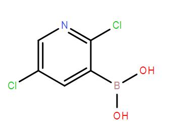 2,5-二氯吡啶-3-硼酸