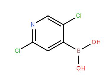 2,5-二氯吡啶-4-硼酸