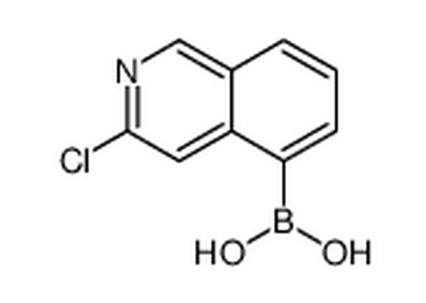 B-(3-氯-5-异喹啉)硼酸