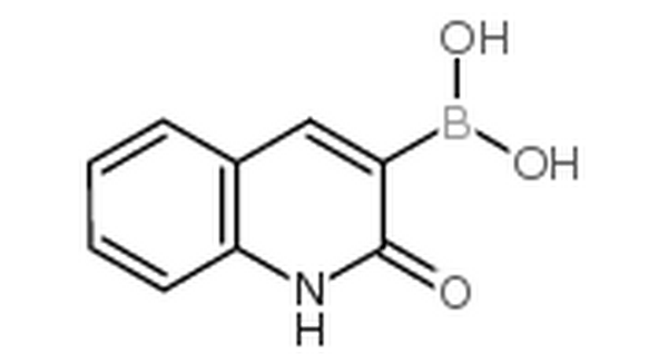 2-羟基喹啉-3-基硼酸