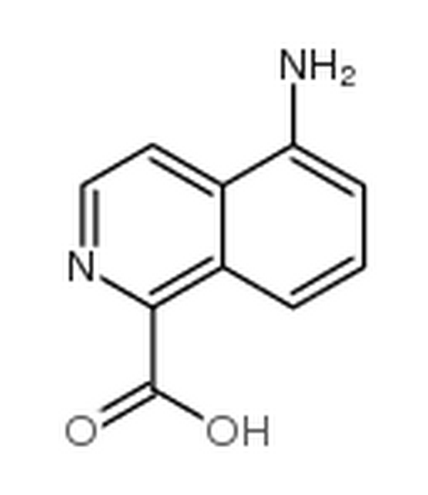 5-氨基-异喹啉-1-羧酸