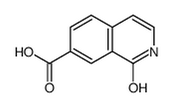 1-羟基异喹啉-7-羧酸