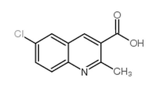 6-氯-2-甲基-喹啉-3-羧酸