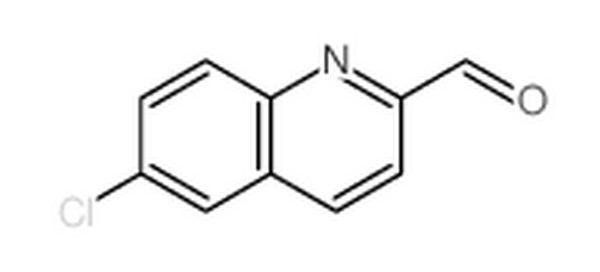 6-氯-2-喹啉羧醛