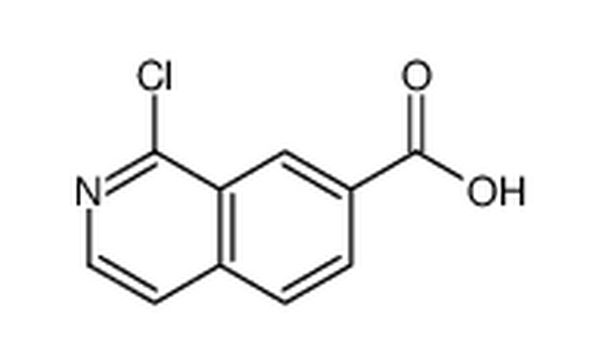 1-氯-7-异喹啉羧酸