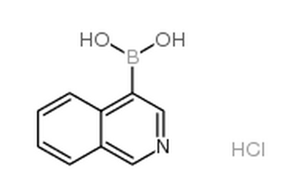 异喹啉-4-硼酸盐酸盐