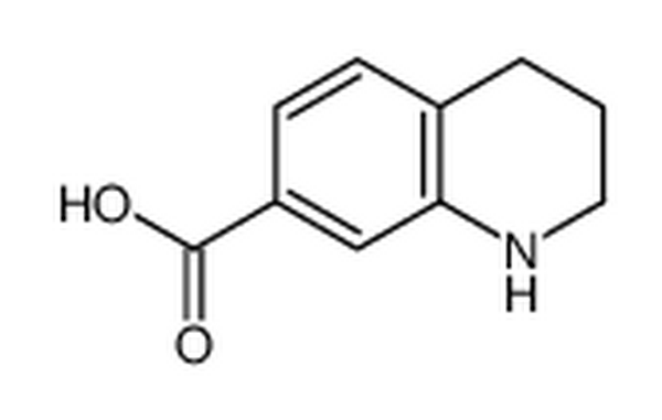 1,2,3,4-四氢喹啉-7-羧酸